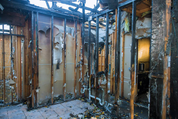 Professional Smoke Damage Removal technician working in Quincy, MA